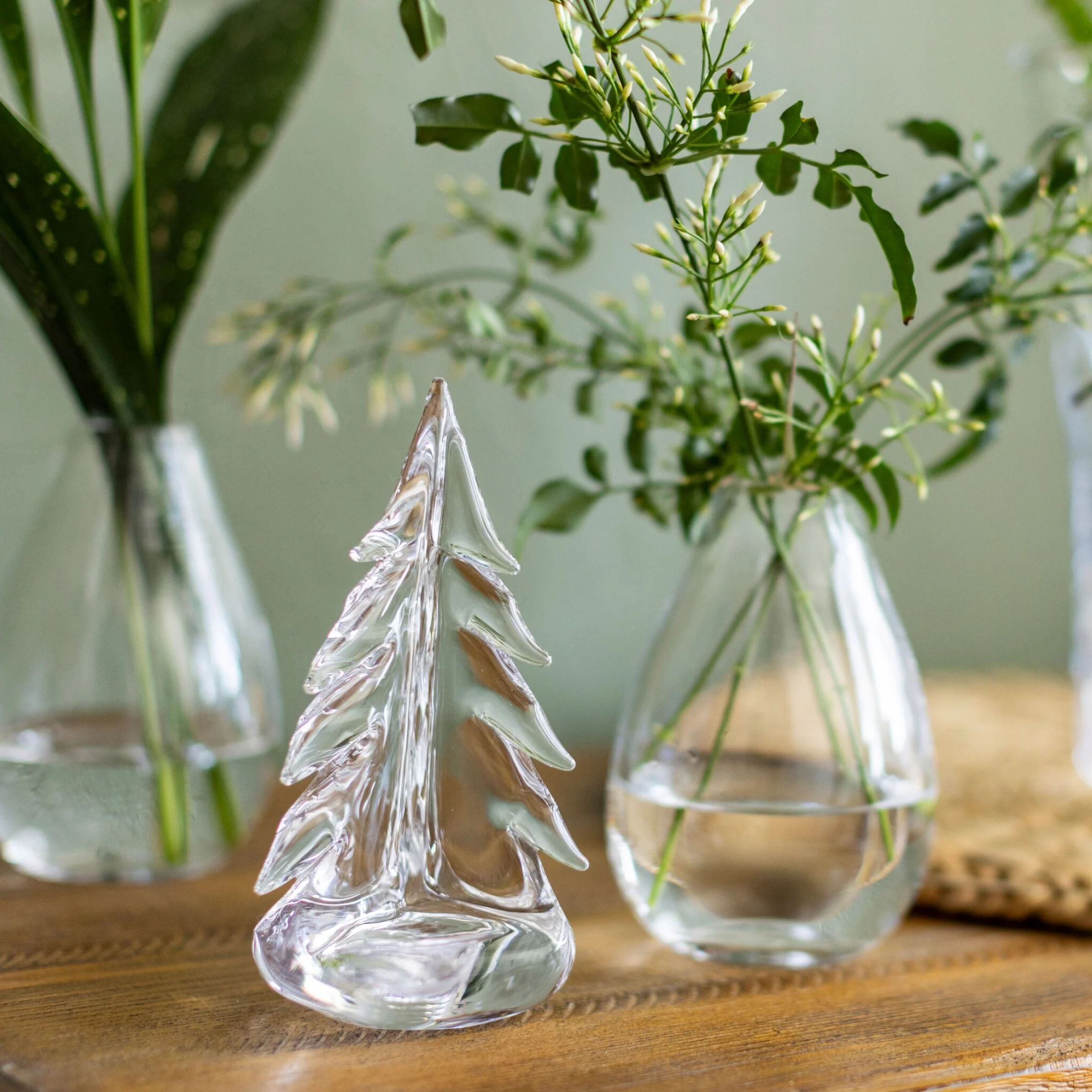 Vermont Evergreen in Gift Box - Image 10