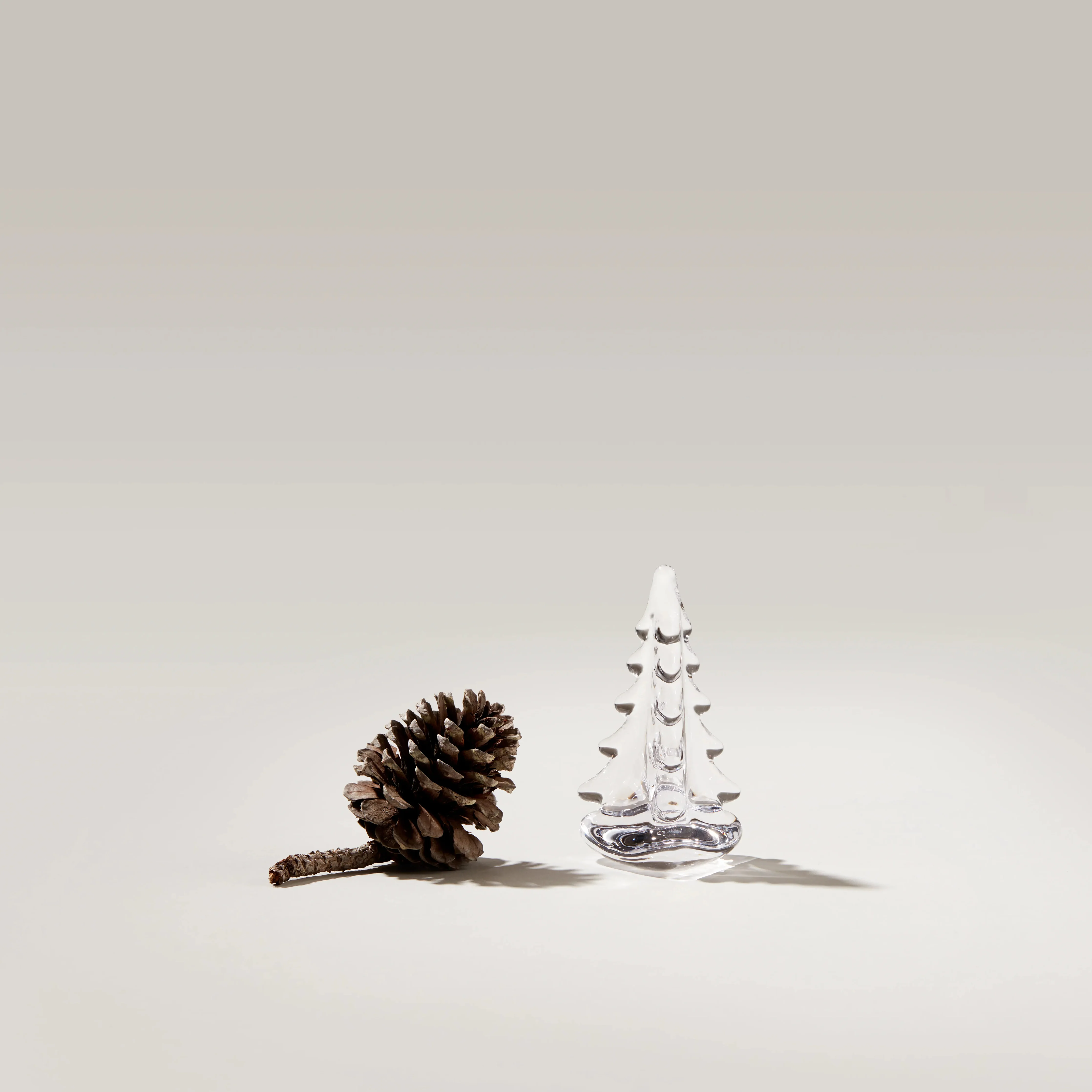 Vermont Evergreen in Gift Box - Image 3