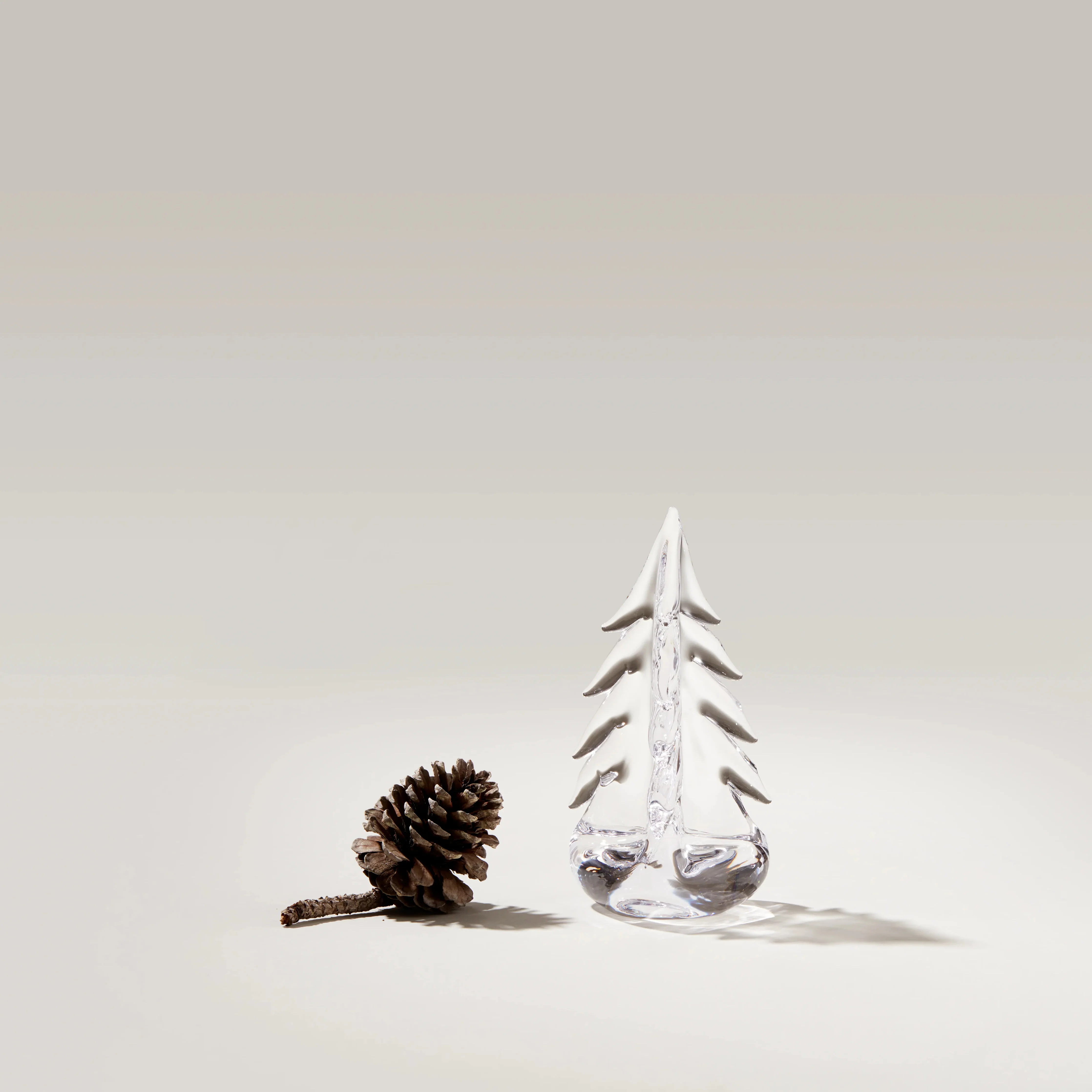Vermont Evergreen in Gift Box - Image 4