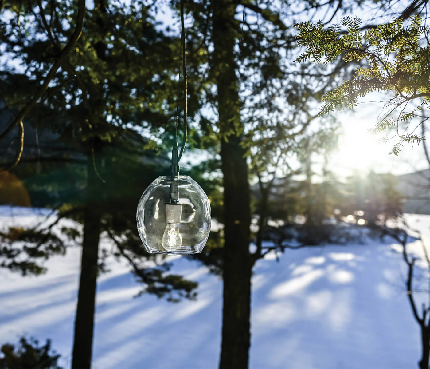 Vine Globe Pendant - Image 2