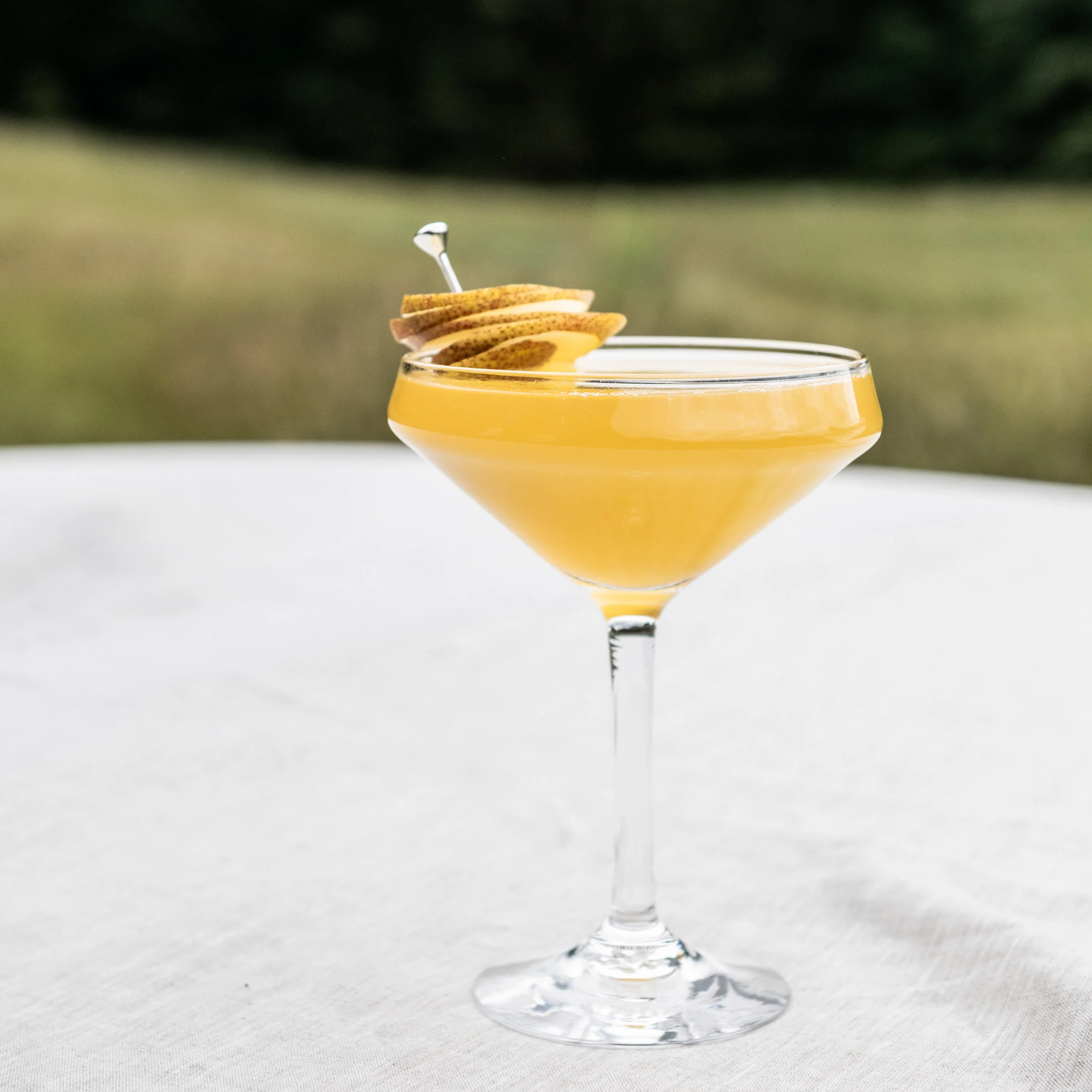 Vintner Coupe - Image 4