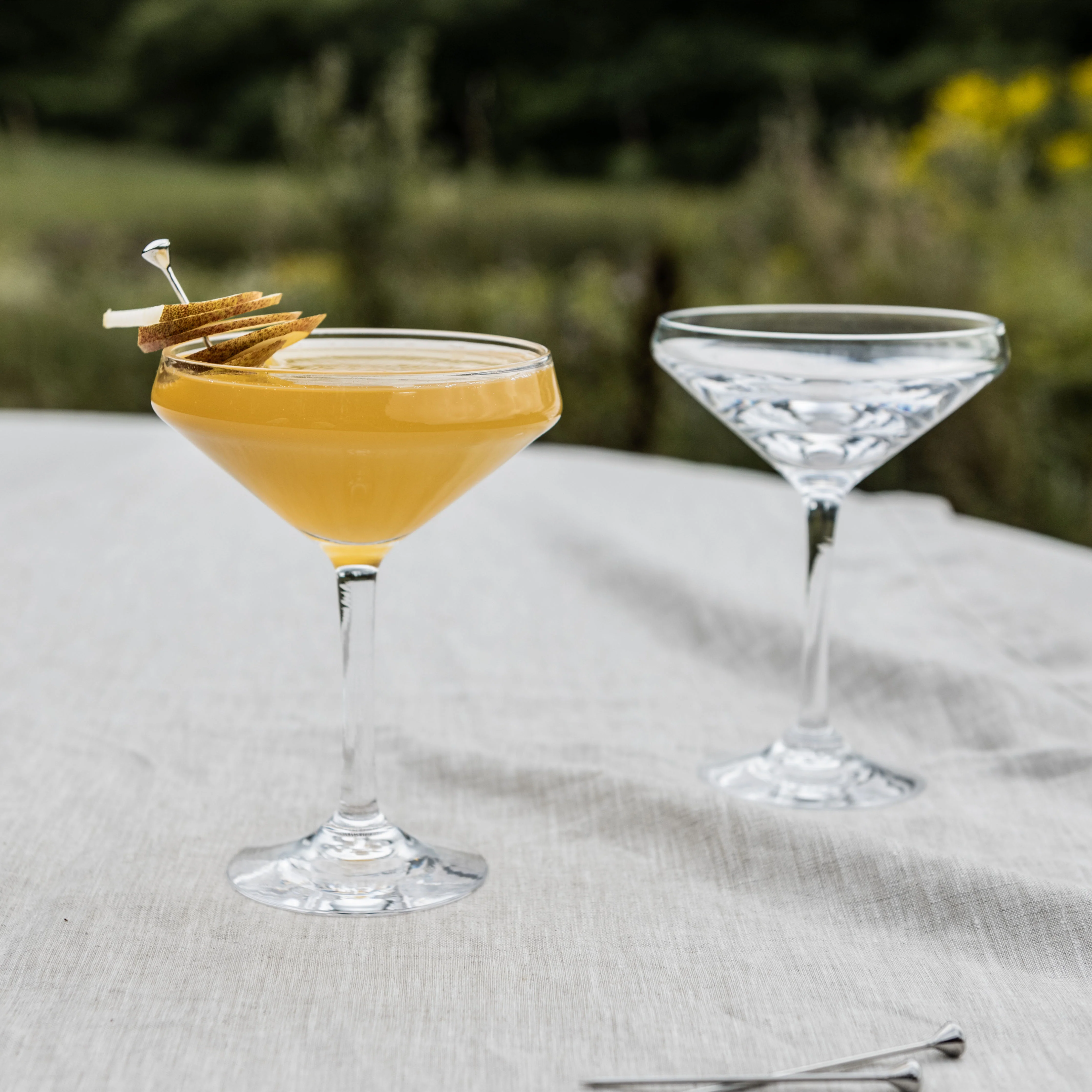 Vintner Coupe in Gift Box - Set of 2 - Image 3