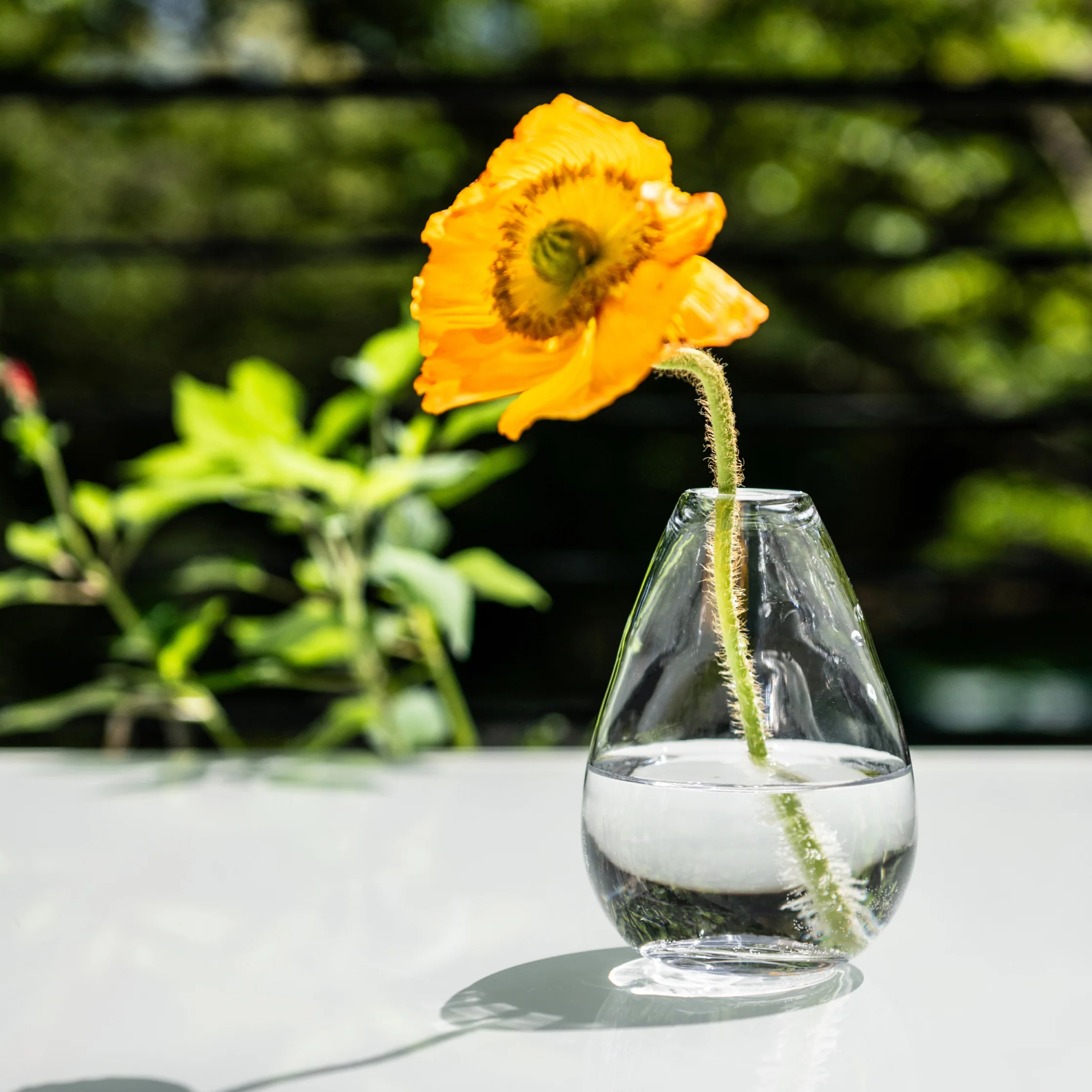 Woodstock Bud Vase - Image 4