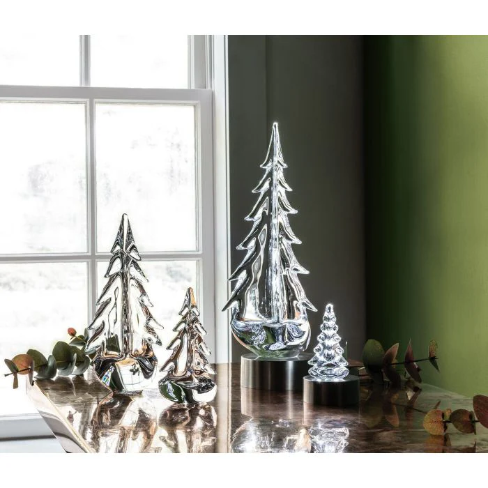Young Evergreen Grove - Image 2